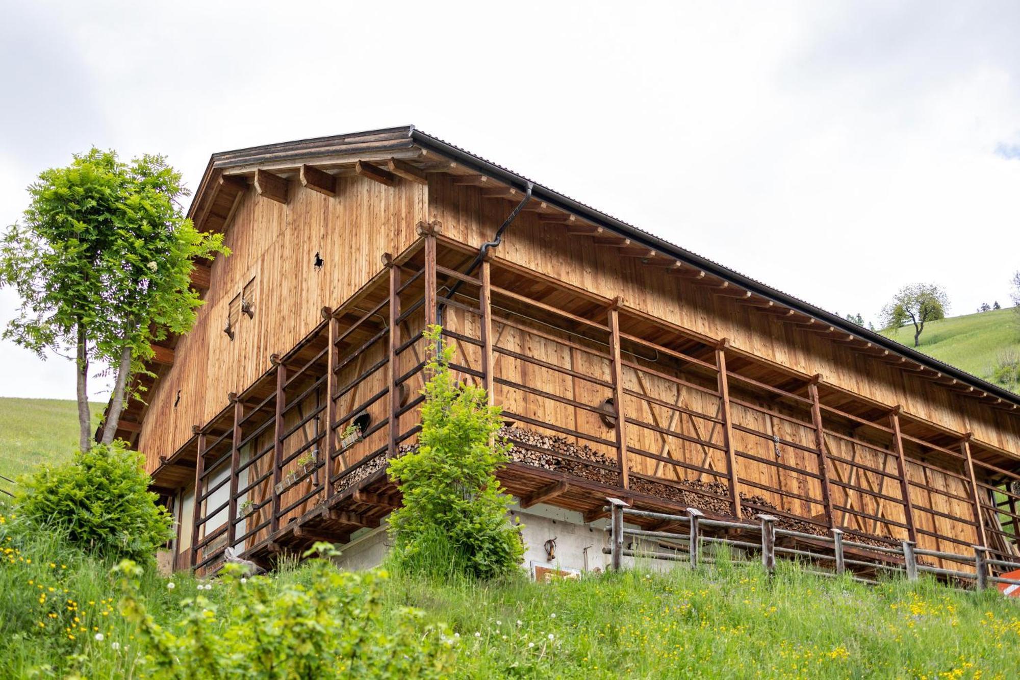 Bolser App Plan De Corones San Vigilio Di Marebbe Pokoj fotografie