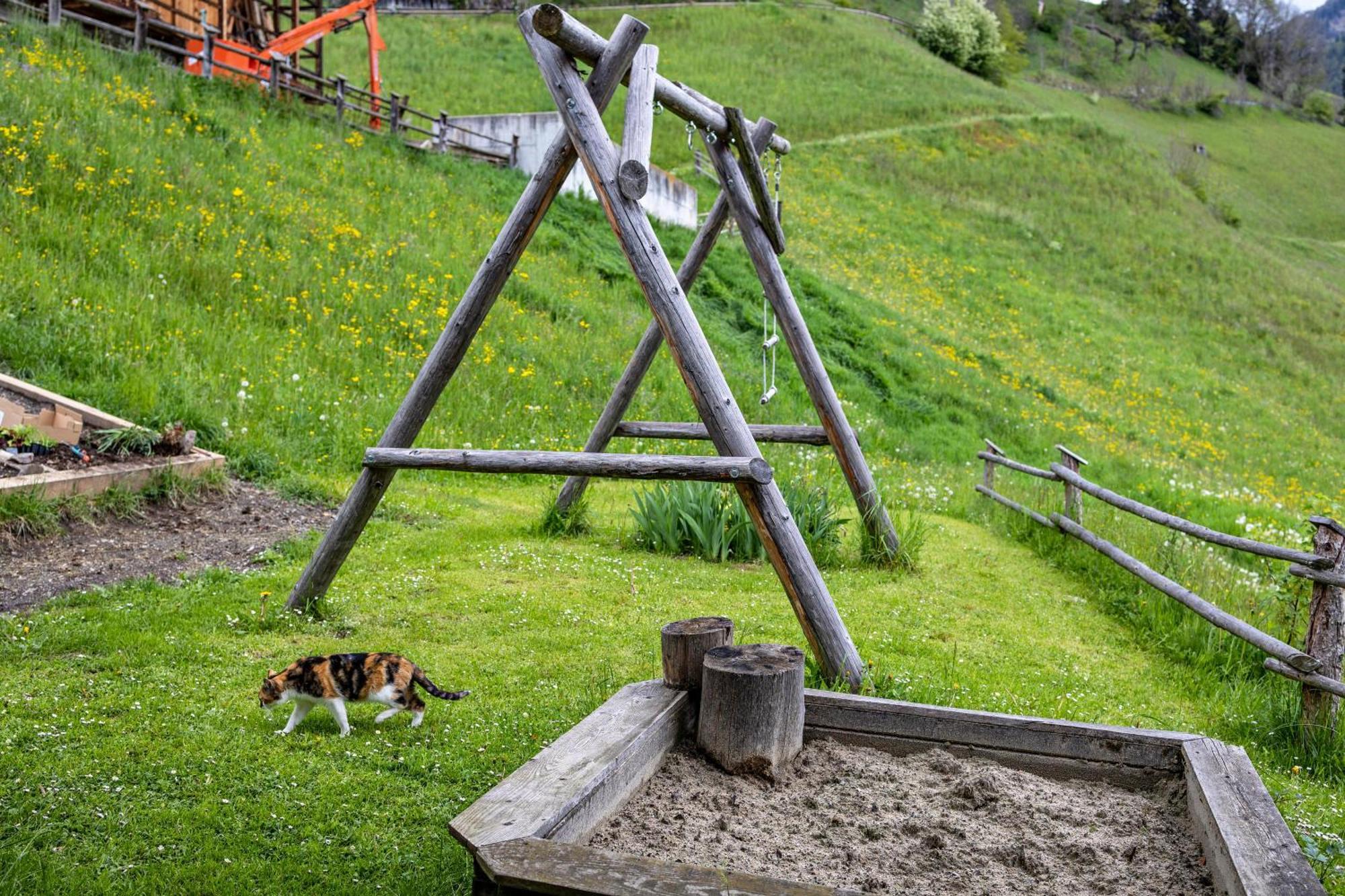 Bolser App Plan De Corones San Vigilio Di Marebbe Pokoj fotografie